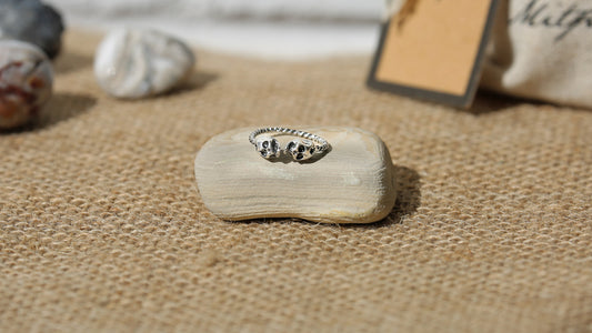 Silver Plated Skull Ring + Canvas Gift Bag - Mitpaw